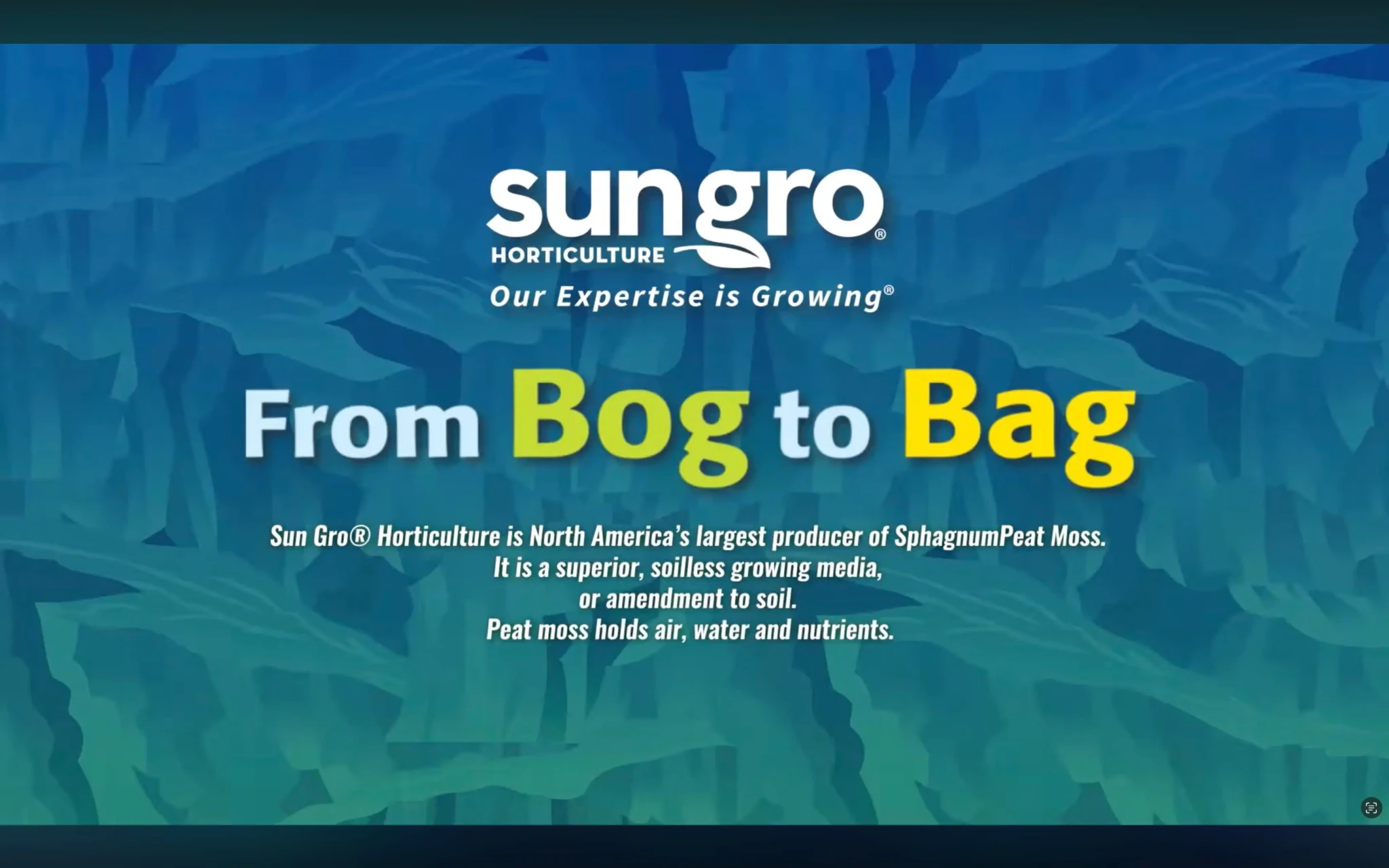 company-intro-video